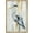 NATURAL, variant on wall26 Framed Canvas Print Wall Art Pastel Watercolor Streak Crane Bird Nature Wilderness Illustrations Modern Art Decorative Rustic Relax/Calm for Living Room, Bedroom, Office - 24"x36" Na