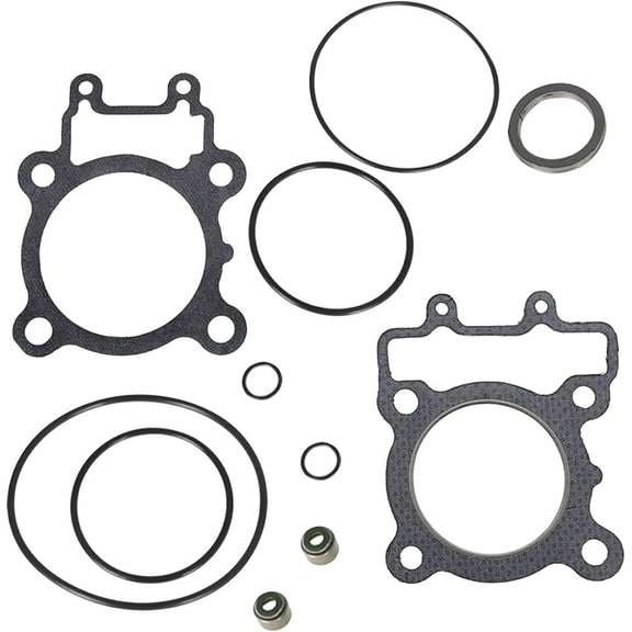 LABLT Gasket Kit Top End Set Replacement for Kawasaki Bayou 220 1988-2002