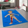 "Allstar Kids / Baby Room Area Rug. Human Anatomy: Learn All About the Human Body. Blue Color (4 11"" x 6 11"")"