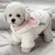 thumbnail image 4 of Abrigo de Invierno para Mascotas, Chaleco Acolchado Cálido con Diseño de Dos Patas, Capa Exterior Impermeable para Perros Pequeños y Cachorros con Cierre de Cremallera, Tallas S, M, L, 4 of 6