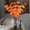 Orange, variant on Nrmvnmi Maple Leaf Twig Lights,30 Inch 20 LED Artificial Branch Lights Battery Powered Flexible Branch Decor Lights for Home Shop Windows Vase Table Room Wedding Christmas Halloween