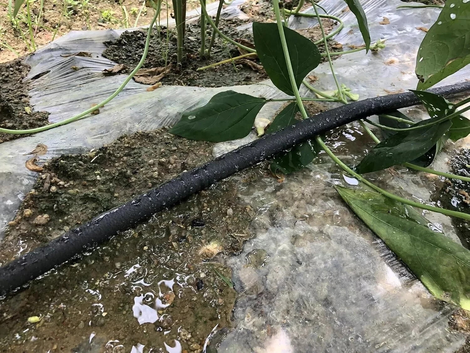 1/2" x 50ft Flat Soaker Hose, Brass Garden Drip Irrigation Hose, Leak-Proof, for Lawn & Plants