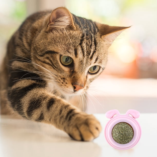 Juguete de bolas de hierba gatera de plástico para gatos Suministros para mascotas con forma de cabeza de perro reemplazable (rosa)