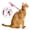 Pink, variant on TETOU Cat Harness and Leash Set Escape Proof Adjustable Walking Travel Kitten Dogs Harness - Rainbow