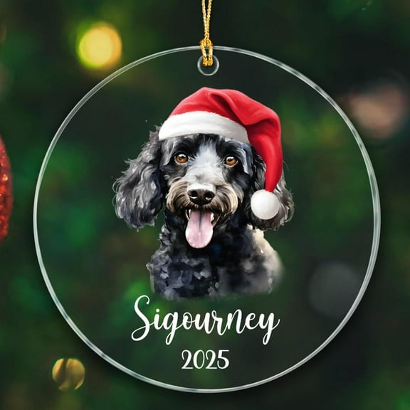 Unique Black Poodles Christmas Ornament 2025, Personalized Poodle Black Christmas Ornaments Gift for Dog Dad & Mom, Customized Year & Name Poodle Lover Ornaments, Cute Dog Pet Ornament Gift