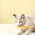 thumbnail image 3 of Pet Food Spoon-Lickable Cats Treats Spoon, All-in-One Cat Feeder Spoon, Cat treat food feeder, Cat Treat Spoon Squeeze, Wet Treat Squeeze Spoon, 3 of 7