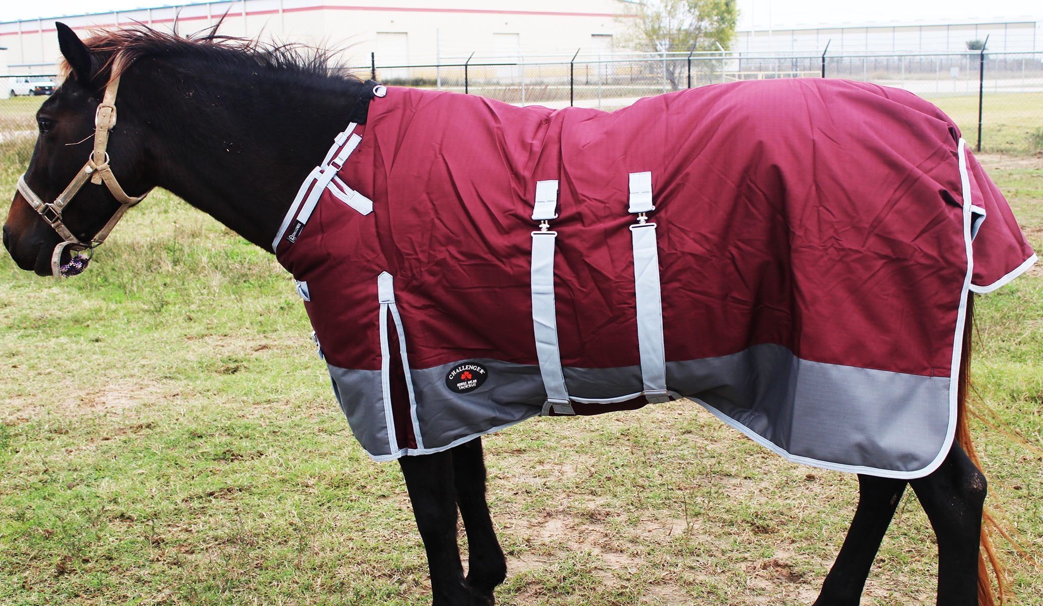 CHALLENGER 74 1200D Turnout Waterproof Horse Winter Blanket Heavy Belly Band 550B