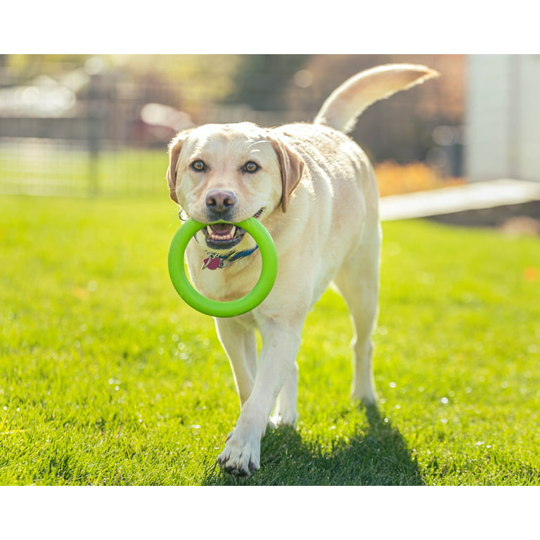 Dog Toy Training Ring Puller Puppy Flying Disk Chewing Toys