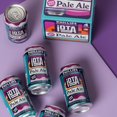 thumbnail image 1 of iOta Pale Ale 4x355ml, 1 of 2