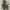 Green, variant on BEBUTTON Womens Summer Casual Loose Floral Printed Ruffle Dresses V-Neck Short Sleeve Midi Flowy Dresses Green 3XL