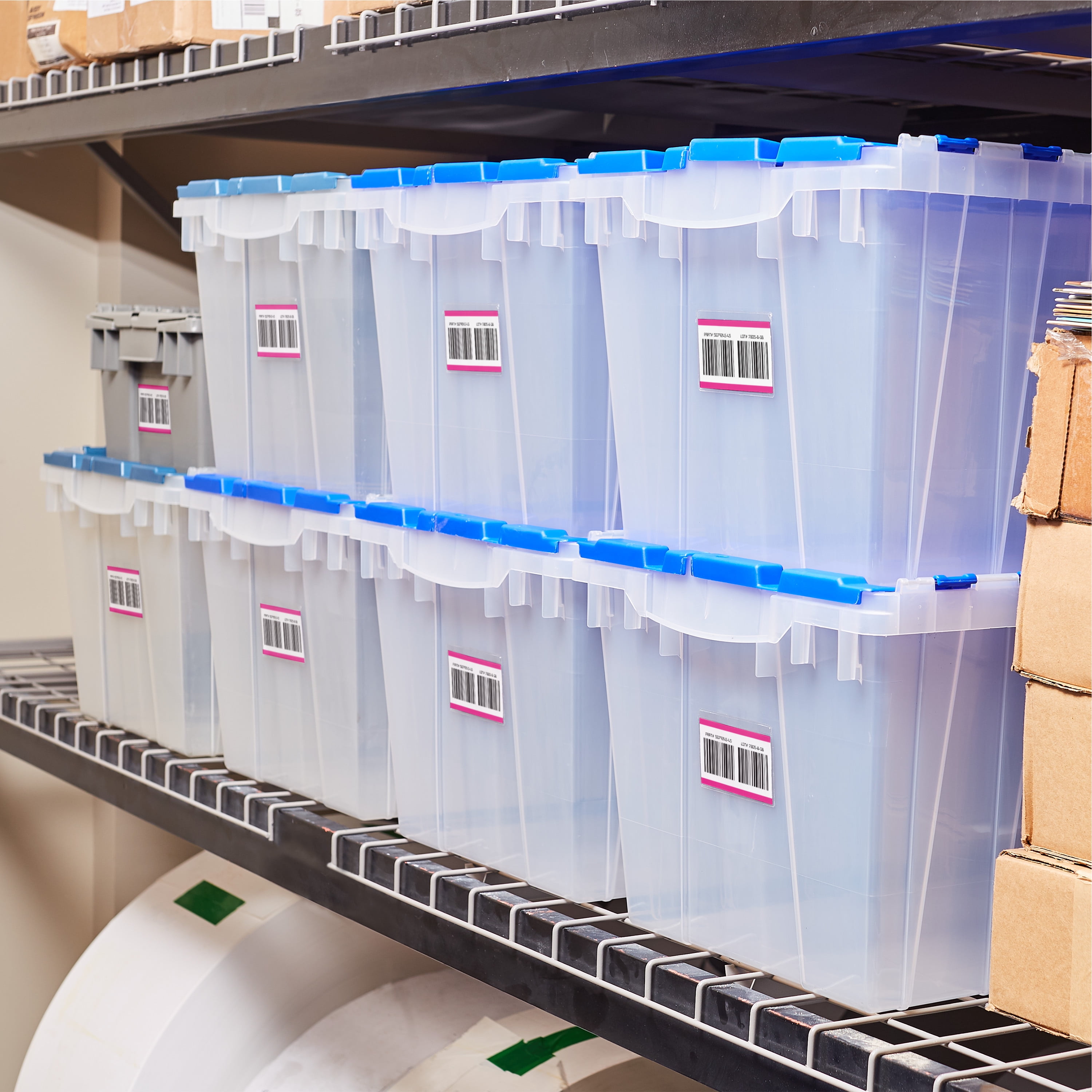 Avery Surface Safe ID Labels, 2" x 3-1/2", Water Resistant, Matte White, Removable Adhesive, 250 Labels (61503)