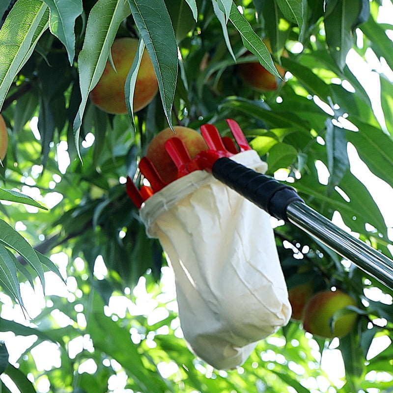 Fymall Fruit Picker with Cloth Bag Gardening Farm Picking Device Tools