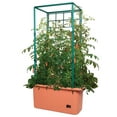 thumbnail image 3 of Hydrofarm GCTR 10 Gal Tomato Trellis Self Watering Garden Grow System (4 Pack), 3 of 3