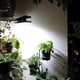 thumbnail image 5 of Xihbxyly Lámpara Solar con Clip, Luz Portátil para Jardín Exterior, Iluminación Led, Diseño con Clip, Eficiencia Energética, Control Inteligente, Sin Necesidad de Perforar, Ideal para Patios y Pasill, 5 of 7