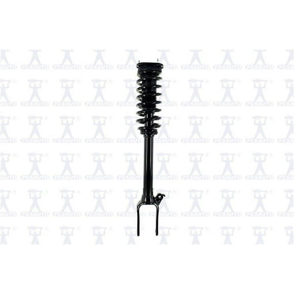 Suspension Strut and Coil Spring Assembly