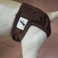 thumbnail image 3 of Twinkseal Dog Sanitary Pants Pet Menstrual Pants Fastener Tape Comfortable Leak-proof Dog Diaper for Periods Incontinence Potty Training Pet Physiological Pants, 3 of 8