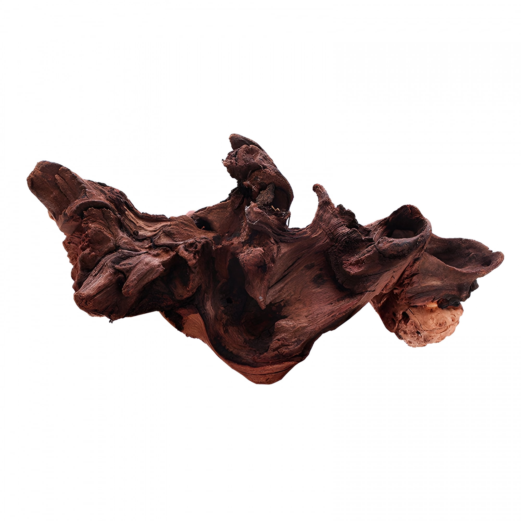 ACDANC 2026 New Tank Driftwood Decoration,Garden Driftwood Decor,Driftwood for Aquarium,Compact Home Small Lizards Amphibian Wood Trunk Ornament Branch 15Cm to 20Cm