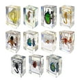 thumbnail image 1 of 11pcs Resin Insect Specimens, Insect Paper Weight, Resin Real Insects, Various Insect Specimens(free Shipping), 1 of 5