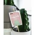 thumbnail image 3 of Wild Interiors 13" Tall Cuddly Cactus Live Plant in 5" Diameter White Ceramic Pot, House Plant, 3 of 3