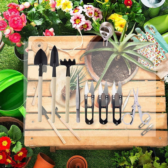Kit De Herramientas De Jardinería Conjunto De Herramientas De Bonsái 8 Piezas Kit De Herramientas De Jardinería Conjunto De Herramientas De Bonsái De Hierro Con Palas De ANGGREK Otros