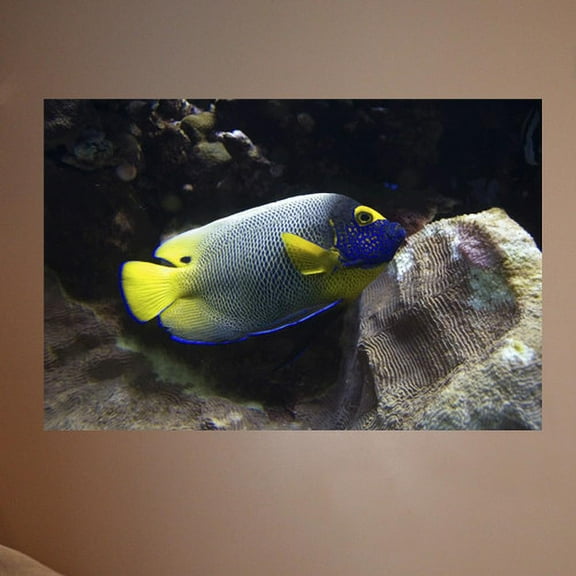 Wallhogs Reef Angel Wall Mural