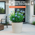 thumbnail image 4 of Maceta Cónica Elly Décor Gerbera en Color Gris Cemento Diseño Moderno con Tapón Roscable, 4 of 6