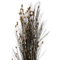thumbnail image 2 of Vickerman 36-40" Long Stem Bell Grass with Natural Colored Seed Pods, 2 per pack, Preserved, 2 of 5