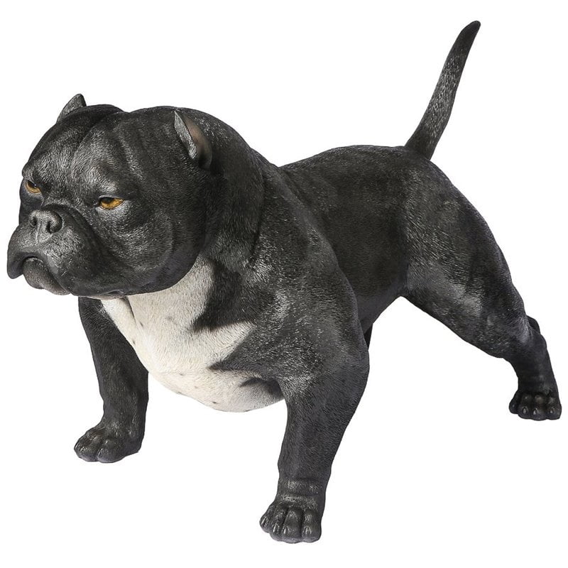 at what age should my american bully puppy be potty trained