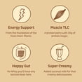 thumbnail image 3 of KOS Organic Plant Based Protein Powder, Vanilla, 20g Protein, 10 Servings, 13.05oz, 3 of 10