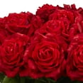 thumbnail image 4 of Nearly Natural Giant Rose Silk Flower Arrangement, 4 of 7