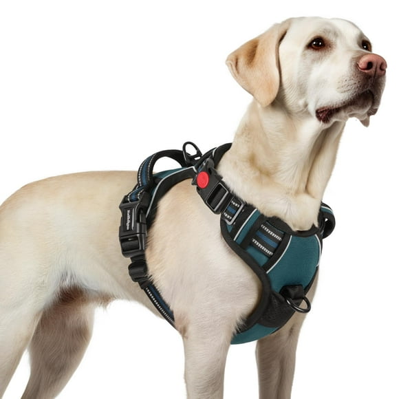 rabbitgoo Harnais pour Chiens de Grande Taille, Harnais pour Animaux de Compagnie Sans Traction avec 3 Boucles, Gilet Rembourré Doux Réglable avec Poignée de Contrôle Instantanée, Gilet Réfléchissant pour Animaux de Compagnie, Corail Bleu, G