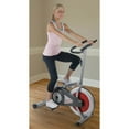 stamina indoor bike