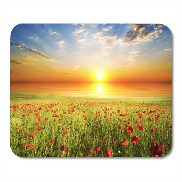 NUDECOR Sunrise Field with Green Grass and Red Poppies Against The Sunset Sky Flower Mousepad Mouse Pad Mouse Mat 9x10 inch