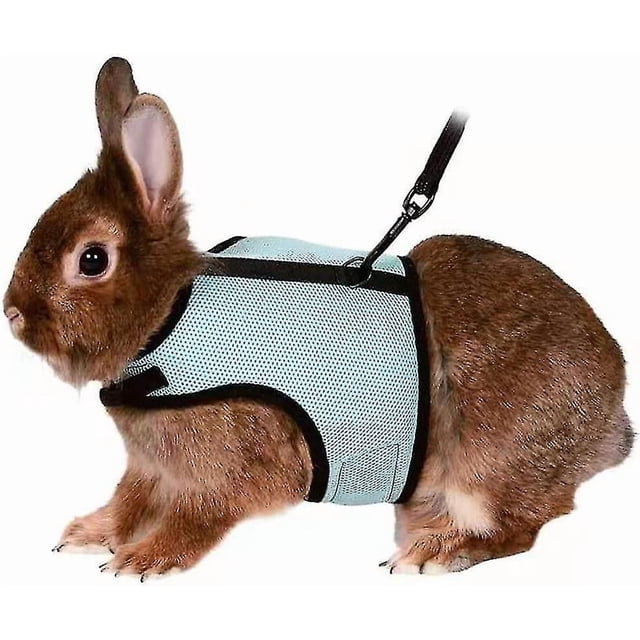 Arnés suave ajustable para conejos con correa elástica para animales pequeños como conejos, hámsteres y gatos (l, verde claro) Hy