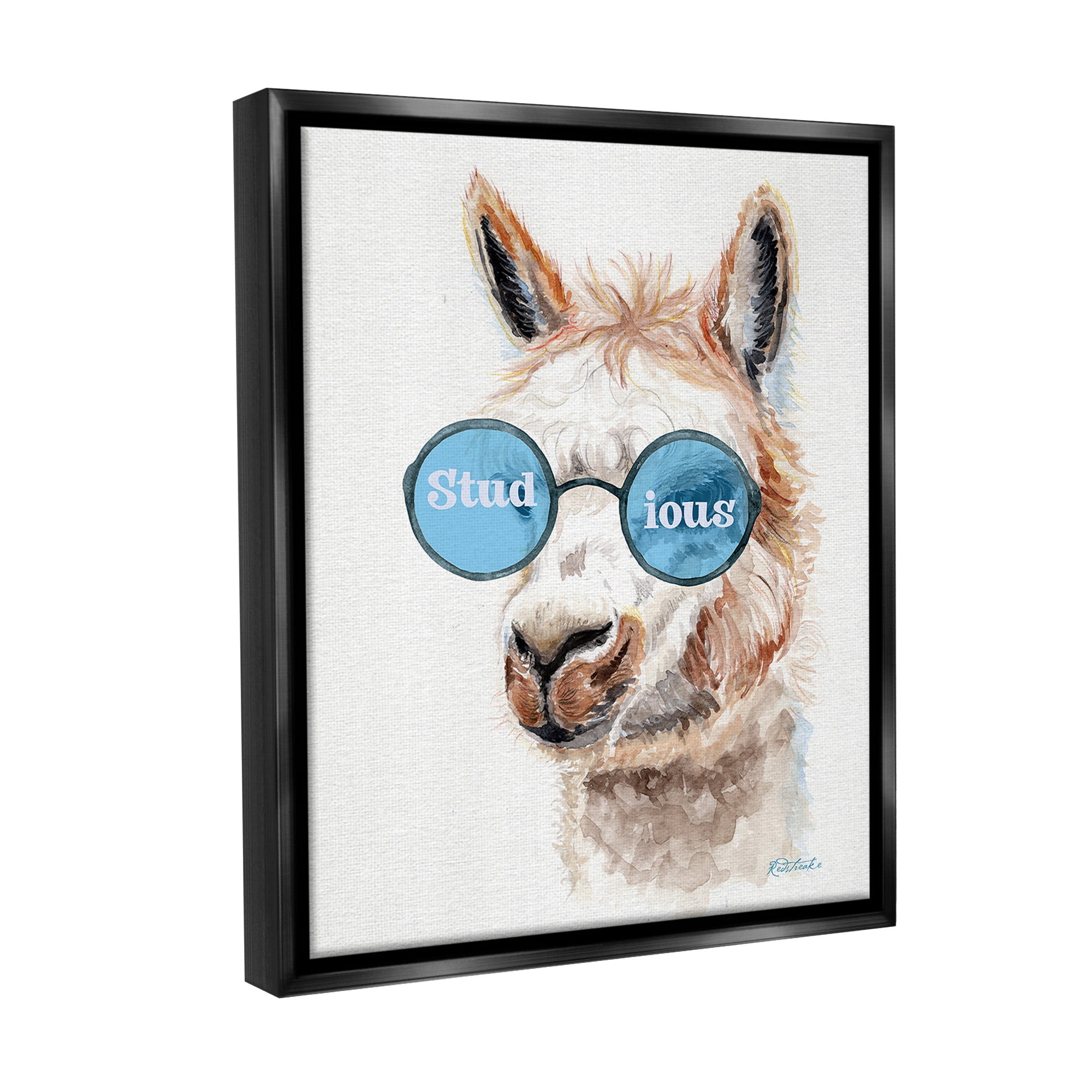 Stupell Industries Stud-ious Funny Llama Animals & Insects Painting Black Floater Framed Canvas Art Print Wall Art, 17 x 21