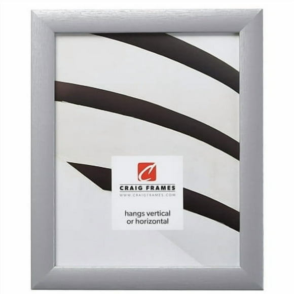 Craig Frames Contemporary Picture Frame 9 x 12 Inch Brushed Silver