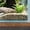 BROWN, variant on Heavy Duty Metal Aquarium Stand with Cabinet for 20-29 Gallon Tanks, Heavy Duty Reptile Terrarium Stand, for Home Office Fish Tank Shelf, 31.5" l x 15.7" w x 32.5" h, 330LBS Capacity