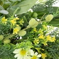 thumbnail image 6 of Northlight Mixed Foliage and Daisy Spring Wreath - 20", 6 of 8