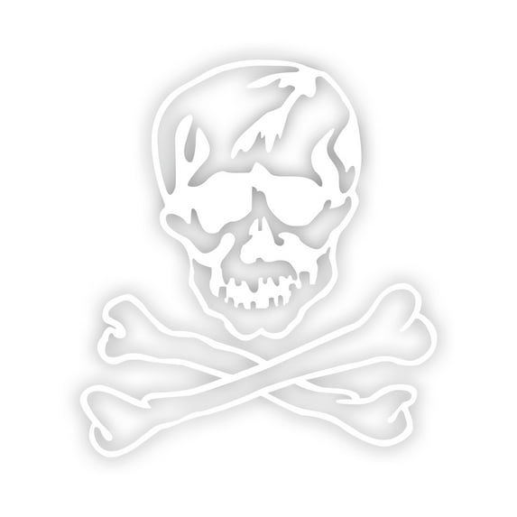 F-14 Jolly Roger Insignia Sticker Decal Die Cut - Self Adhesive Vinyl - Weatherproof - Made in USA - Many Color and Sizes - f14