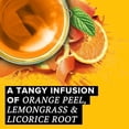 thumbnail image 4 of Tazo Wild Sweet Orange Herbal Tea, 20 ct, 4 of 8