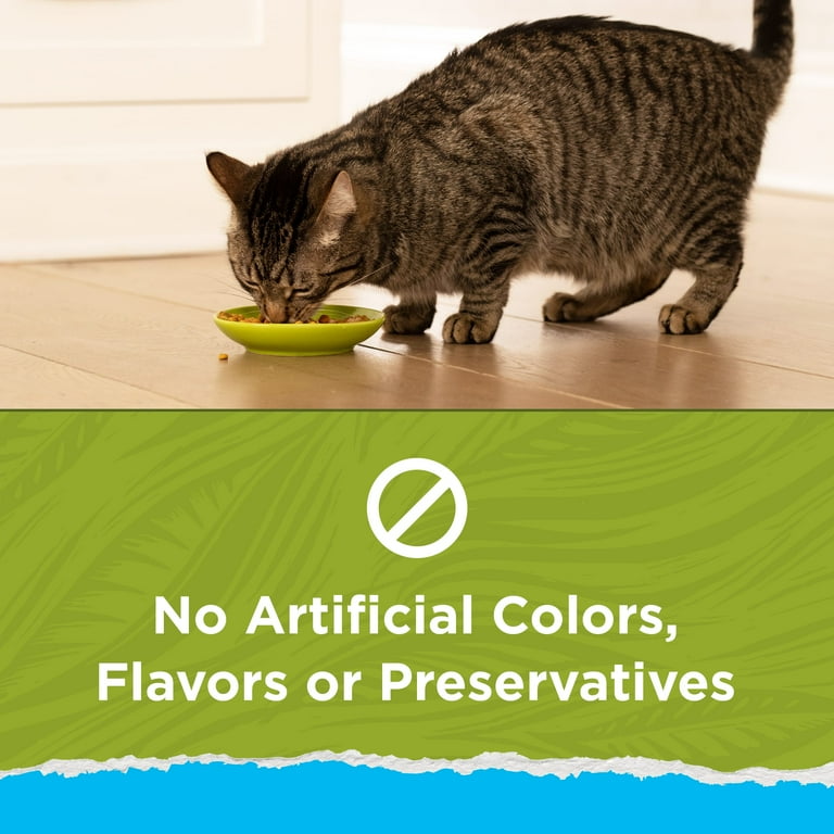 Is purina cat chow naturals good for my cat cheap