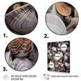 thumbnail image 3 of Designart "Grey Clam Coastal euphony II" Animals Floater Framed Wall Art Print, 3 of 7