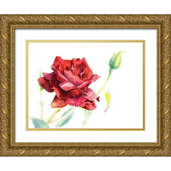 Shefranov, Olga 24x19 Gold Ornate Wood Framed with Double Matting Museum Art Print Titled - Red Rose