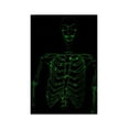 thumbnail image 6 of Calhoun Men's Glow in The Dark Skeleton Costume Zip Hoodie (Black, XX-Large), 6 of 8