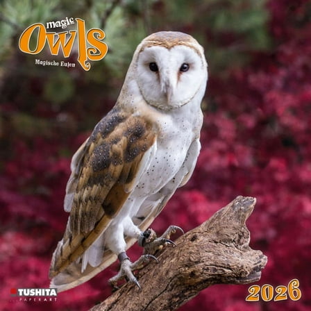 Tushita Publishing, Magic Owls 2026 Wall Calendar, 11.81'' X 11.81'', 16-Month Calendar with Spiral Binding