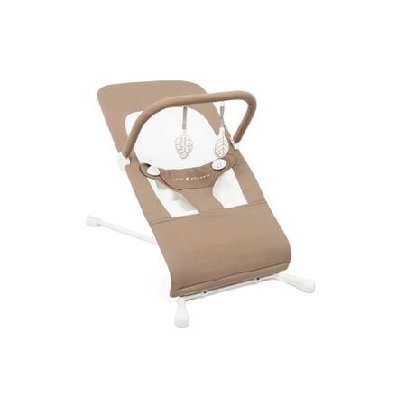 Baby Delight Highland Organic Bouncer, 3-Position, Infants 0-6 Months, Organic Mocha