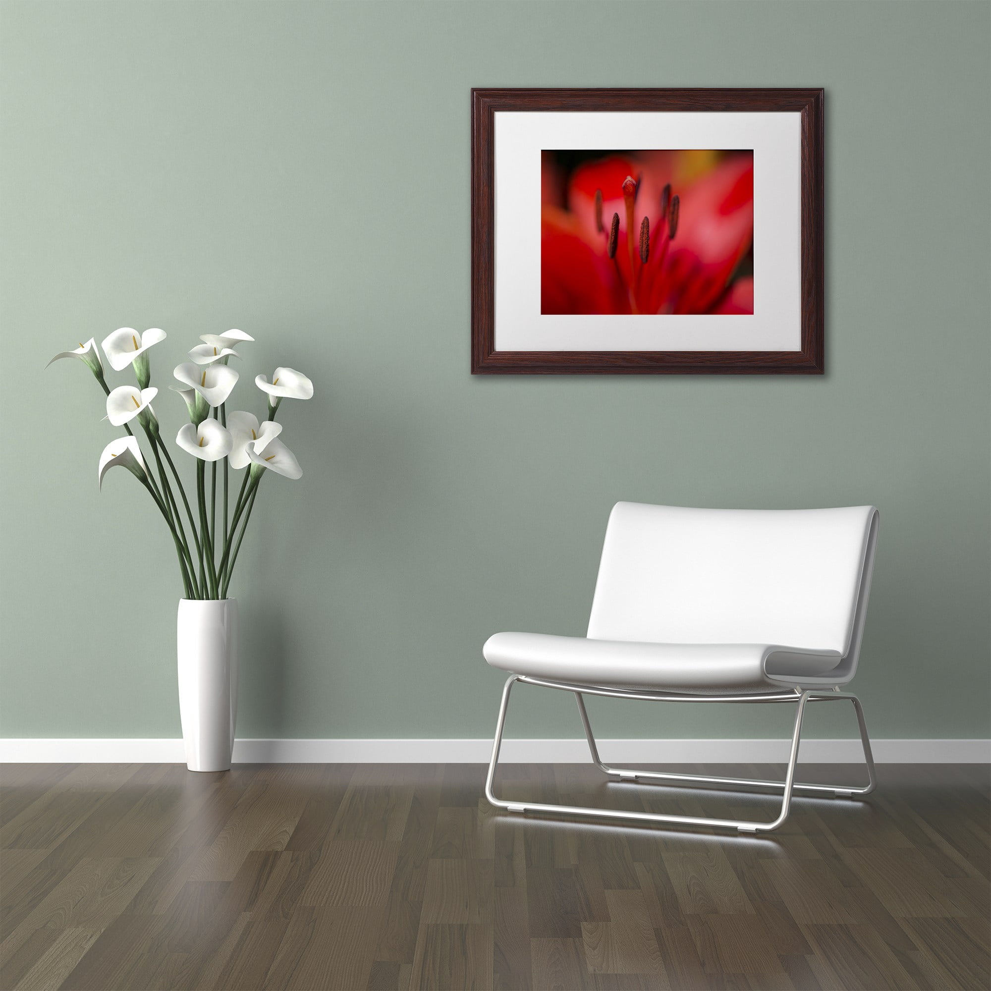 Trademark Fine Art "Red Lily Pistils" Canvas Art by Kurt Shaffer, White Matte, Wood Frame