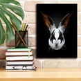 thumbnail image 6 of Epic Graffiti 'Rabbit Rocks' by Robert Farkas, Giclee Canvas Wall Art, 12"x16", 6 of 8