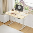 FunniHomi Height Adjustable Standing Desk with Cable Management and