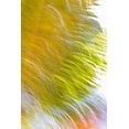 thumbnail image 2 of Millet, Karyn 17x24 Gold Ornate Wood Framed with Double Matting Museum Art Print Titled - In Motion I, 2 of 4